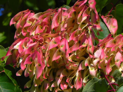 �j���E���V