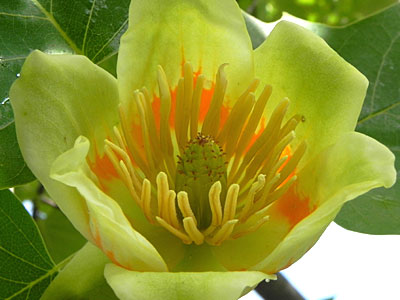 �����m�L