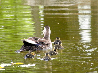 �J���K��