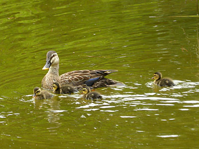 �J���K��