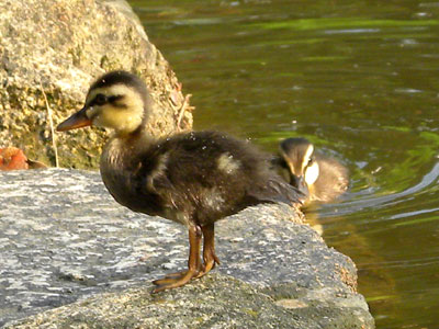 �J���K��