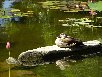 �J���K��