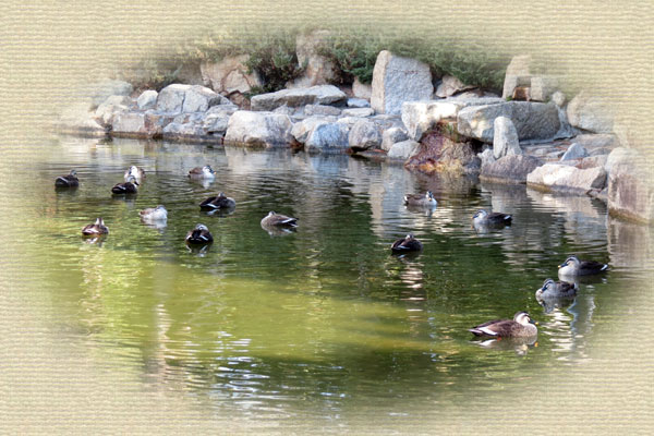 �J���K��