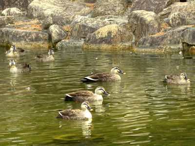 �J���K��