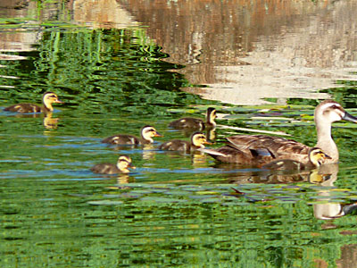 �J���K��