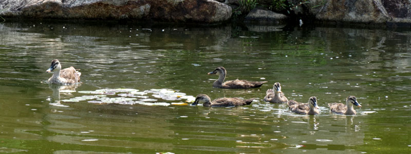 �J���K��