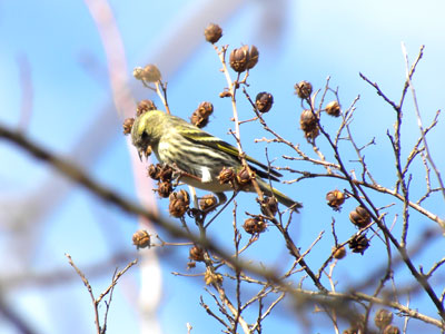 �}�q����