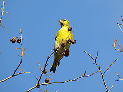 �}�q����