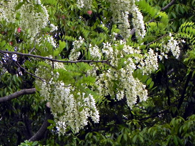 �j�Z�A�J�V�A