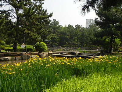 �L�V���E�u