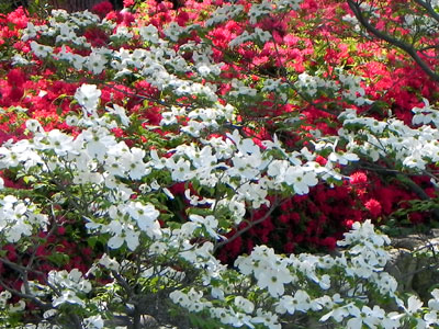 �n�i�~�Y�L