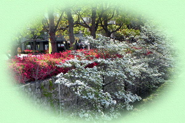 �n�i�~�Y�L