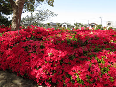 �N�����c�c�W